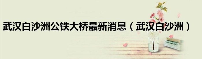 武汉白沙洲公铁大桥最新消息（武汉白沙洲）