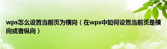 wps怎么设置当前页为横向（在wps中如何设置当前页是横向或者纵向）
