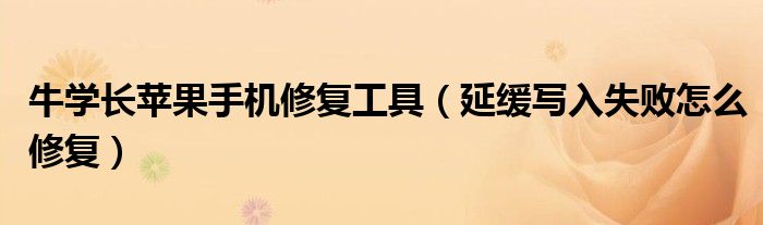 牛学长苹果手机修复工具（延缓写入失败怎么修复）
