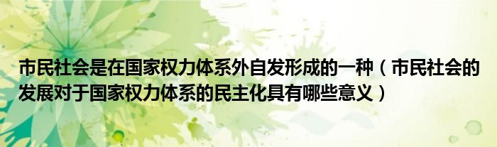 市民社会是在国家权力体系外自发形成的一种（市民社会的发展对于国家权力体系的民主化具有哪些意义）