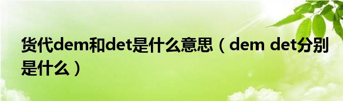 货代dem和det是什么意思（dem det分别是什么）