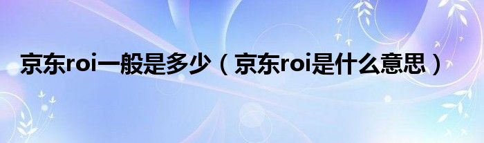 京东roi一般是多少（京东roi是什么意思）