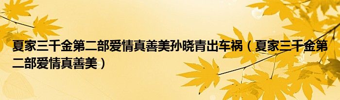 夏家三千金第二部爱情真善美孙晓青出车祸（夏家三千金第二部爱情真善美）