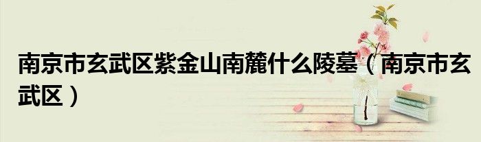 南京市玄武区紫金山南麓什么陵墓（南京市玄武区）