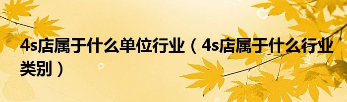 4s店属于什么单位行业（4s店属于什么行业类别）