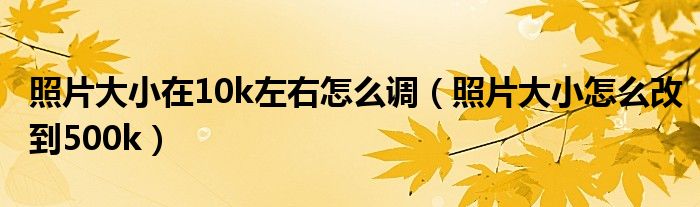 照片大小在10k左右怎么调（照片大小怎么改到500k）