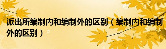 派出所编制内和编制外的区别（编制内和编制外的区别）