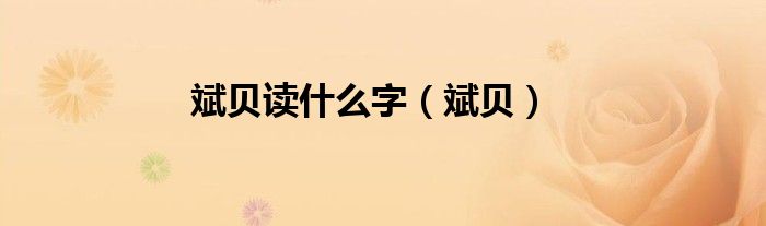 斌贝读什么字（斌贝）
