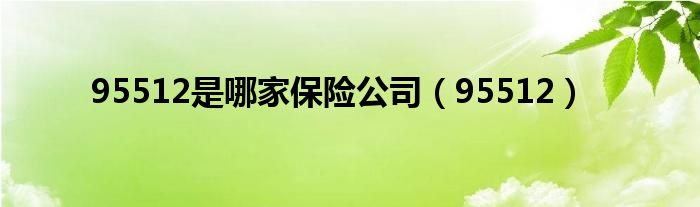 95512是哪家保险公司（95512）