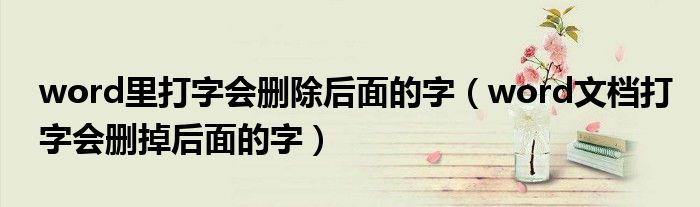 word里打字会删除后面的字（word文档打字会删掉后面的字）