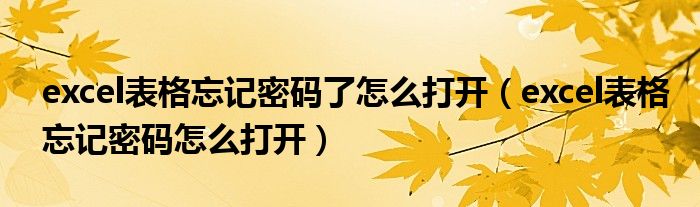excel表格忘记密码了怎么打开（excel表格忘记密码怎么打开）