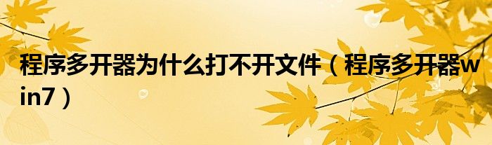 程序多开器为什么打不开文件（程序多开器win7）