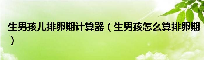 生男孩儿排卵期计算器（生男孩怎么算排卵期）