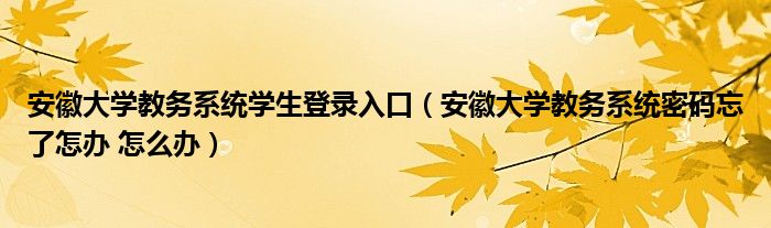 安徽大学教务系统学生登录入口（安徽大学教务系统密码忘了怎办 怎么办）