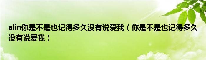 alin你是不是也记得多久没有说爱我（你是不是也记得多久没有说爱我）
