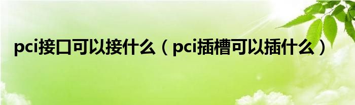 pci接口可以接什么（pci插槽可以插什么）
