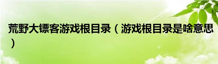 荒野大镖客游戏根目录（游戏根目录是啥意思）