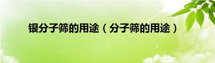 银分子筛的用途（分子筛的用途）