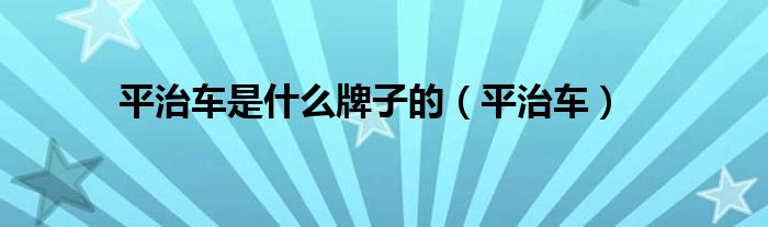 平治车是什么牌子的（平治车）