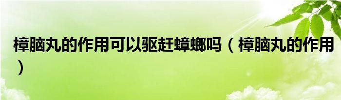 樟脑丸的作用可以驱赶蟑螂吗（樟脑丸的作用）