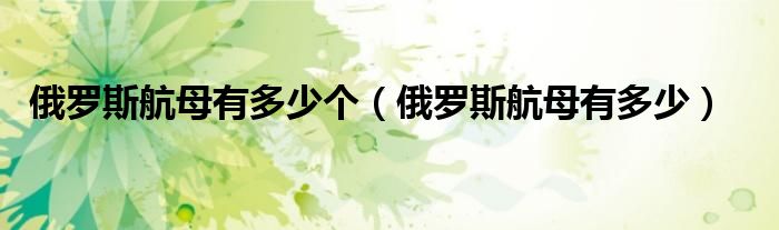 俄罗斯航母有多少个（俄罗斯航母有多少）