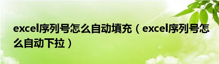 excel序列号怎么自动填充（excel序列号怎么自动下拉）
