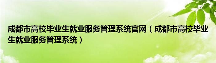 成都市高校毕业生就业服务管理系统官网（成都市高校毕业生就业服务管理系统）