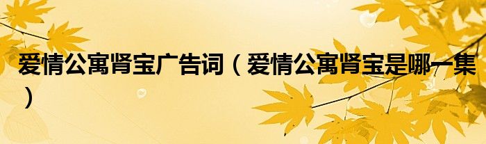 爱情公寓肾宝广告词（爱情公寓肾宝是哪一集）