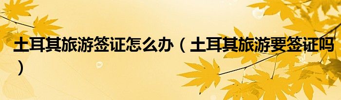 土耳其旅游签证怎么办（土耳其旅游要签证吗）