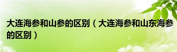 大连海参和山参的区别（大连海参和山东海参的区别）