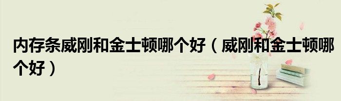 内存条威刚和金士顿哪个好（威刚和金士顿哪个好）