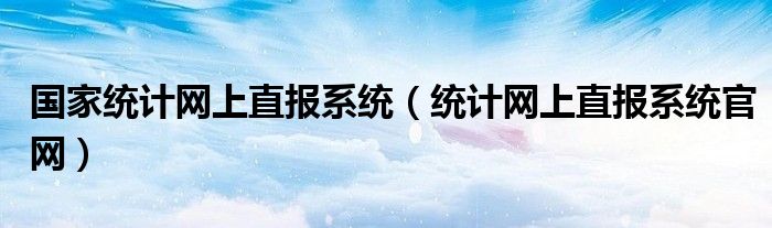 国家统计网上直报系统（统计网上直报系统官网）