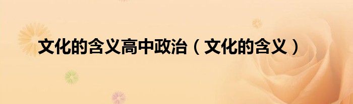 文化的含义高中政治（文化的含义）