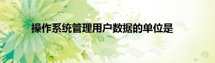 操作系统管理用户数据的单位是