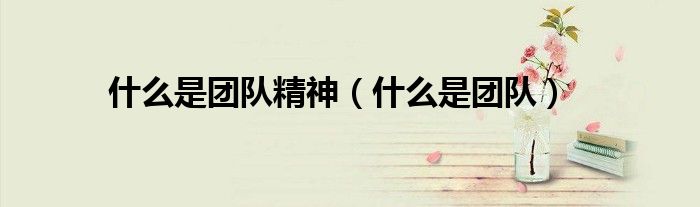 什么是团队精神（什么是团队）