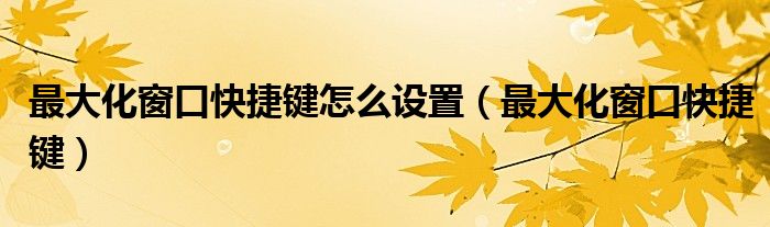 最大化窗口快捷键怎么设置（最大化窗口快捷键）