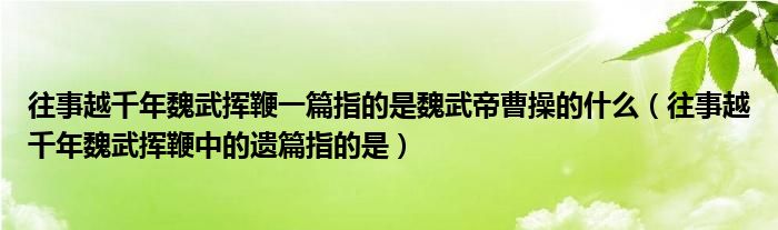 往事越千年魏武挥鞭一篇指的是魏武帝曹操的什么（往事越千年魏武挥鞭中的遗篇指的是）