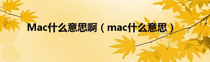 Mac什么意思啊（mac什么意思）