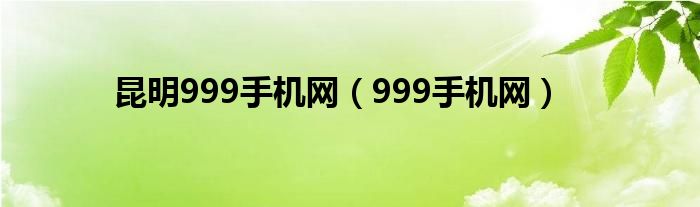 昆明999手机网（999手机网）