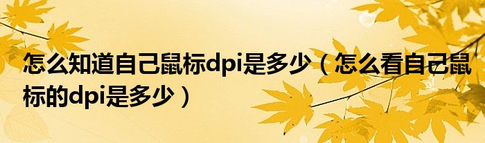 怎么知道自己鼠标dpi是多少（怎么看自己鼠标的dpi是多少）