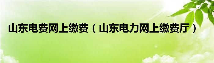 山东电费网上缴费（山东电力网上缴费厅）