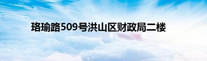珞瑜路509号洪山区财政局二楼
