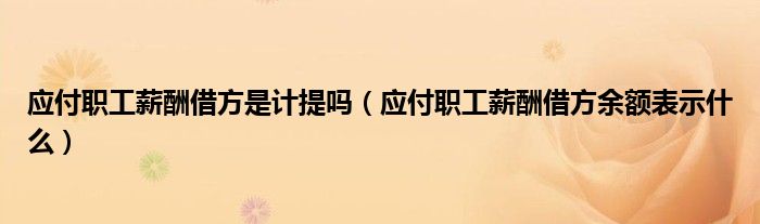 应付职工薪酬借方是计提吗（应付职工薪酬借方余额表示什么）
