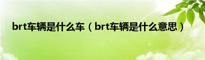 brt车辆是什么车（brt车辆是什么意思）