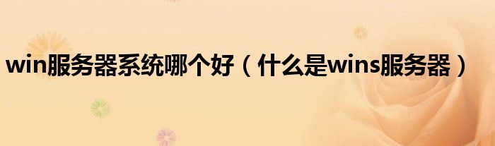 win服务器系统哪个好（什么是wins服务器）