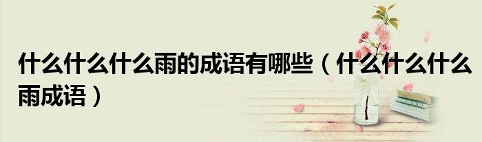 什么什么什么雨的成语有哪些（什么什么什么雨成语）