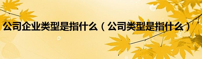 公司企业类型是指什么（公司类型是指什么）