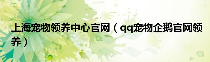上海宠物领养中心官网（qq宠物企鹅官网领养）