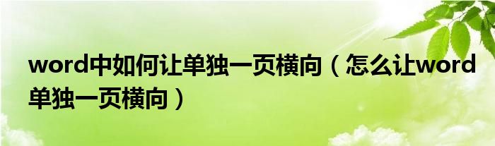 word中如何让单独一页横向（怎么让word单独一页横向）