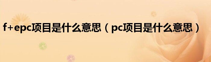 f+epc项目是什么意思（pc项目是什么意思）